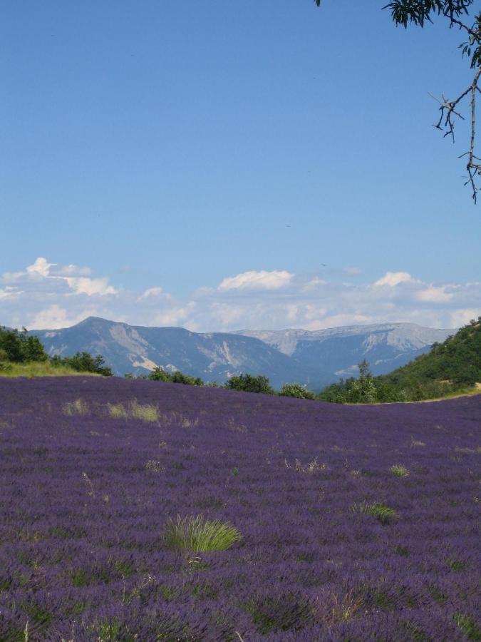 مبيت وإفطار Montfort  Les Vieux Murs الغرفة الصورة