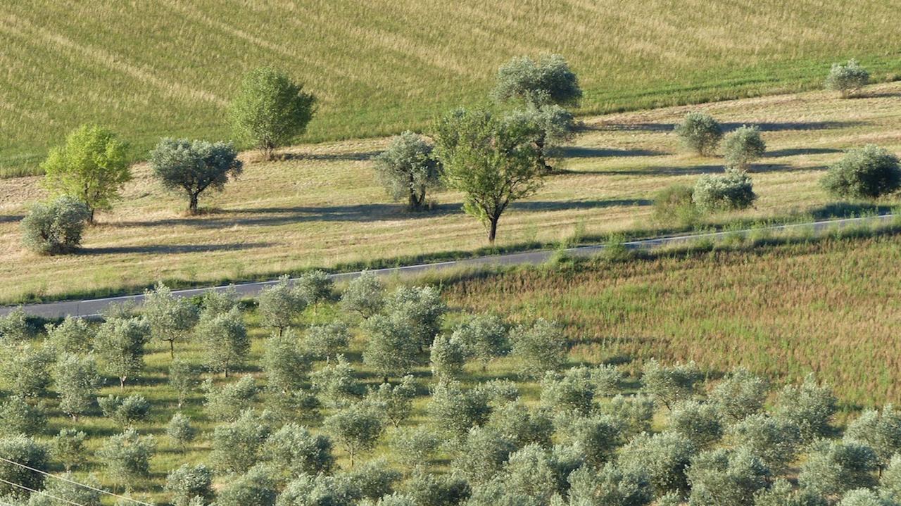 مبيت وإفطار Montfort  Les Vieux Murs المظهر الخارجي الصورة